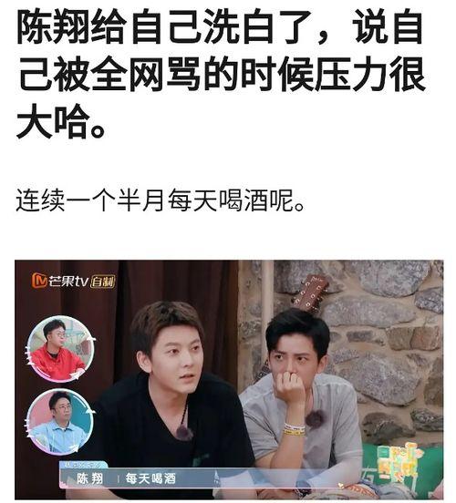 陈翔助理爆料视频大全最新,揭秘明星幕后真相  第2张