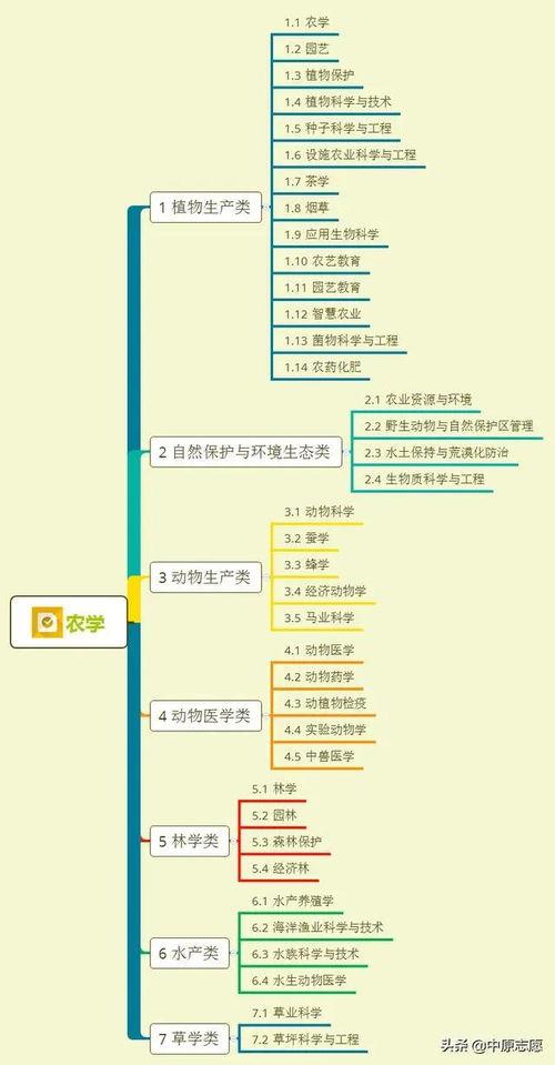 河源婚庆爆料视频大全集,视频大全集精彩瞬间回顾 第3张 河源婚庆爆料视频大全集,视频大全集精彩瞬间回顾 第3张